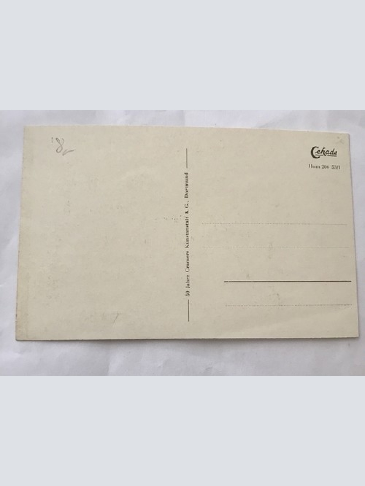 AK, Husum, Nordsee, Am Deich, Küste (110264 BW)