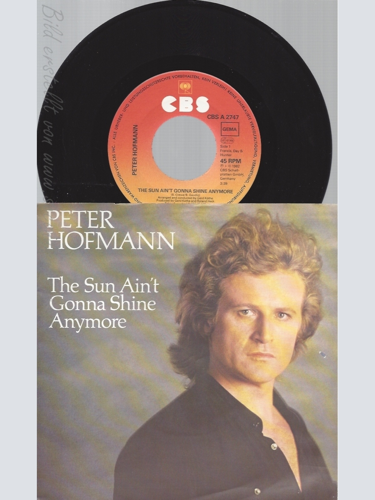 7" PETER HOFMANN -- THE SUN AINT GONNA SHINE ANYMORE