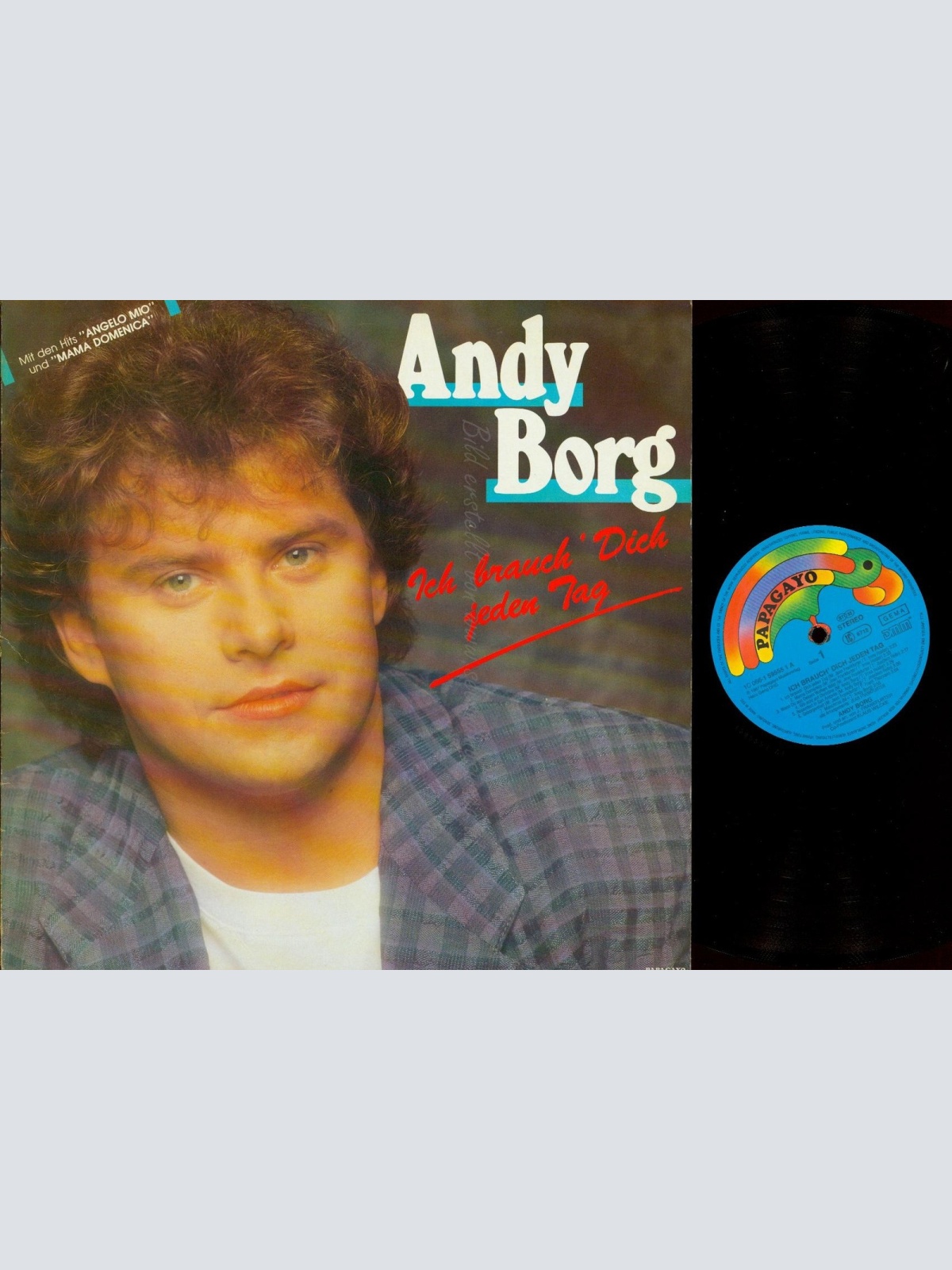 LP--ANDY BORG-- ICH BRAUCH DICH JEDEN TAG