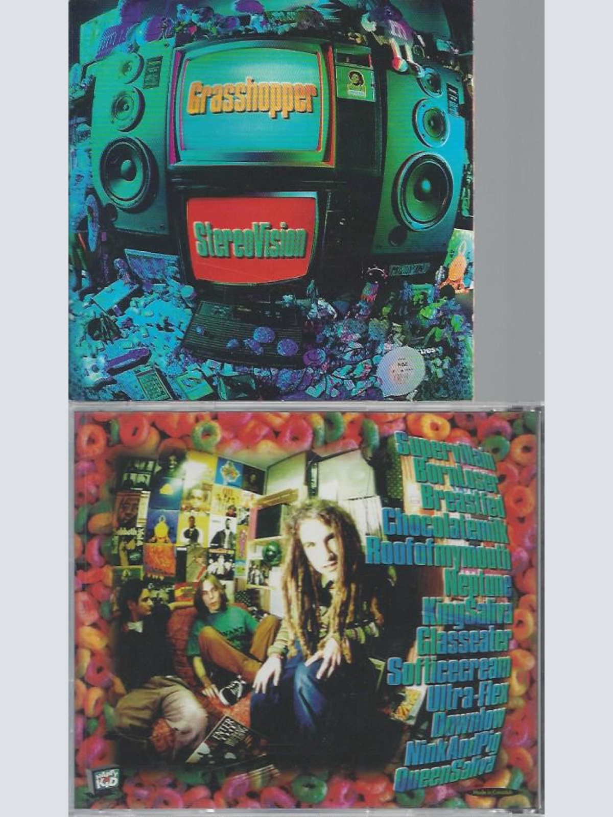 CD-GRASSHOPPER--STEREO VISION