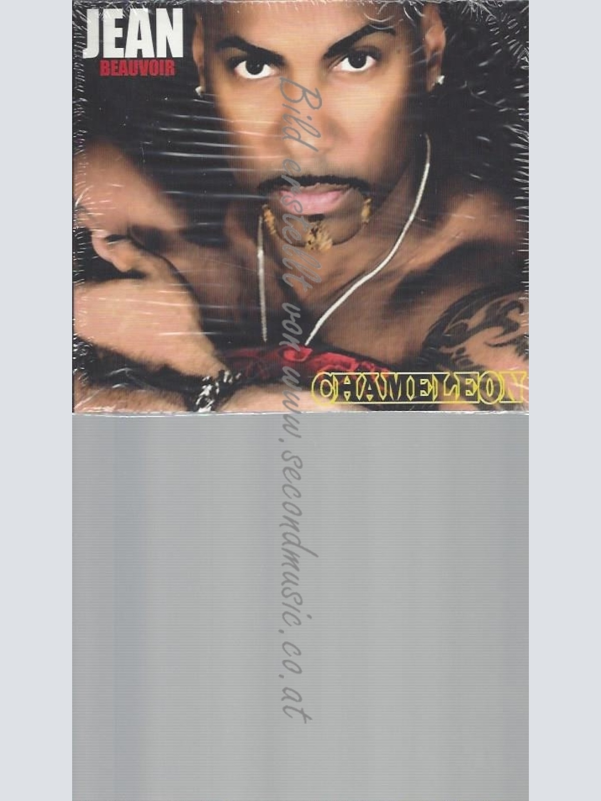 CD--JEAN BEAUVOIR -- -- CHAMELEON