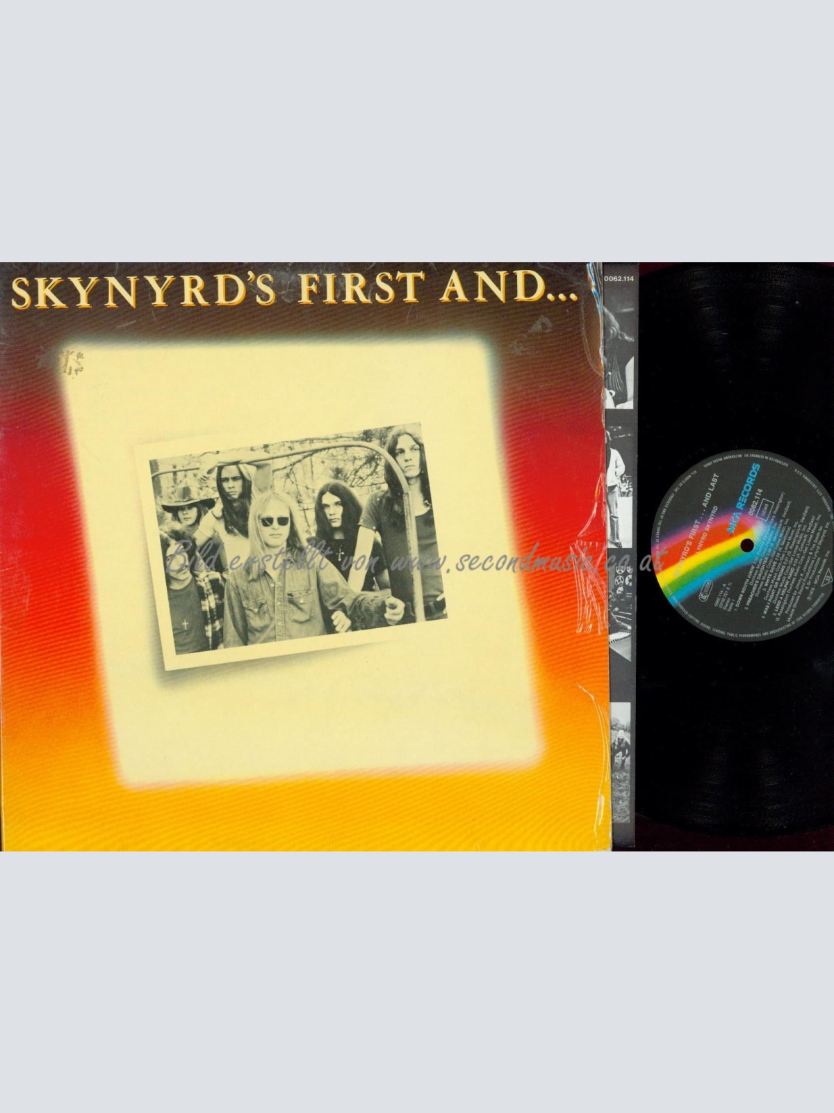LP-- Lynyrd Skynyrd  Skynyrd's First ... And Last  //FOC //GERMANY