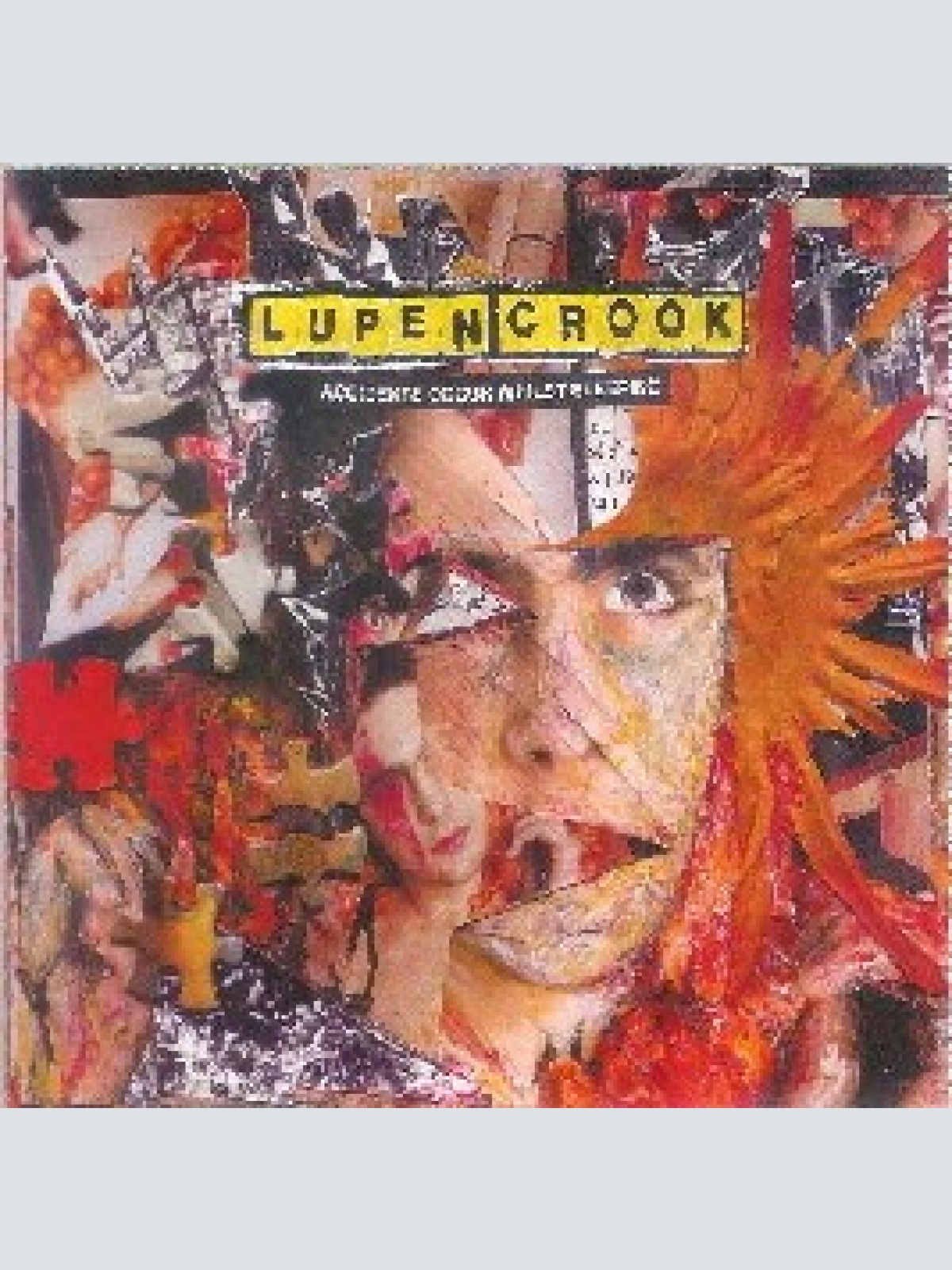 CD, Album Lupen Crook - Accidents Occur Whilst Sleeping