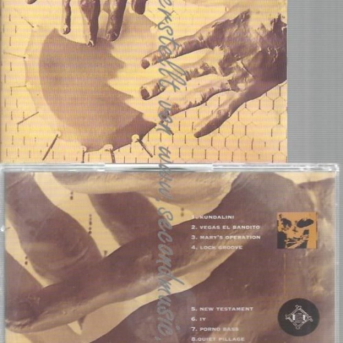 CD-- SKIDOO--SEVEN SONGS