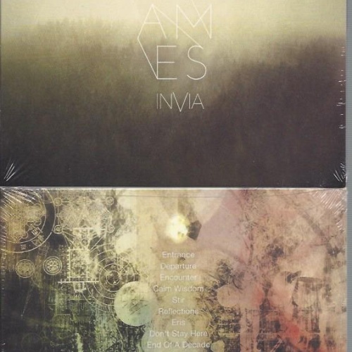 CD--IN VIA  The Frames