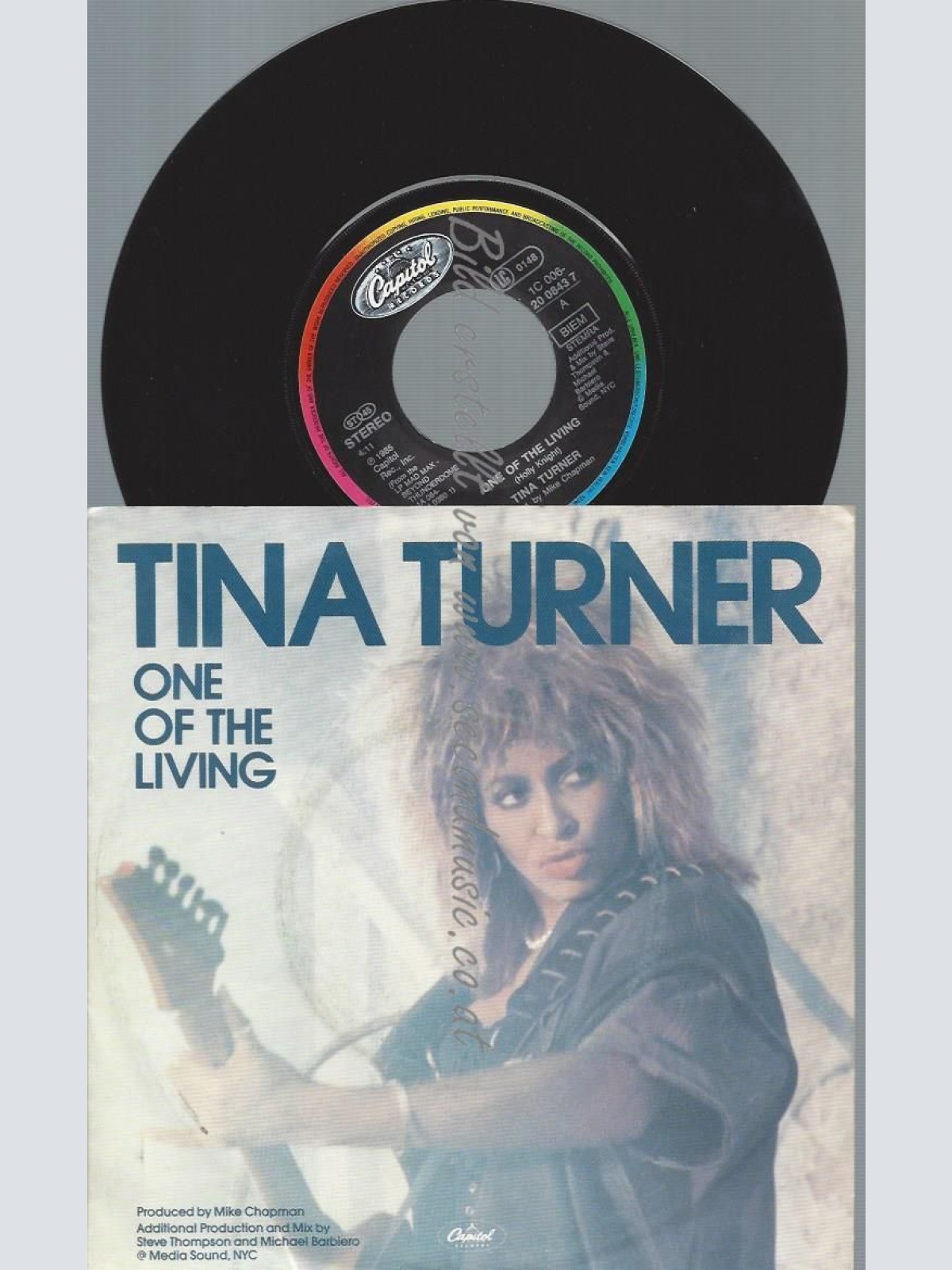 7" Tina Turner  One Of The Living