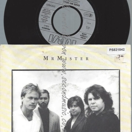 7"   Mr. Mister – Something Real