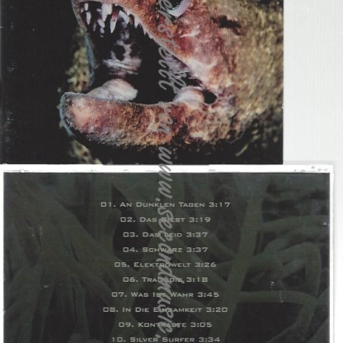 CD--NCOR--    TIEFENRAUSCH