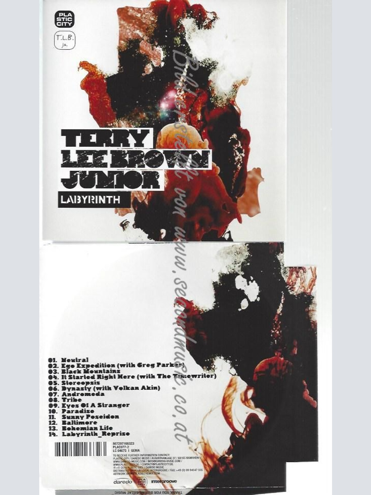 CD--TERRY LEE BROWN JUNIOR--    LABYRINTH