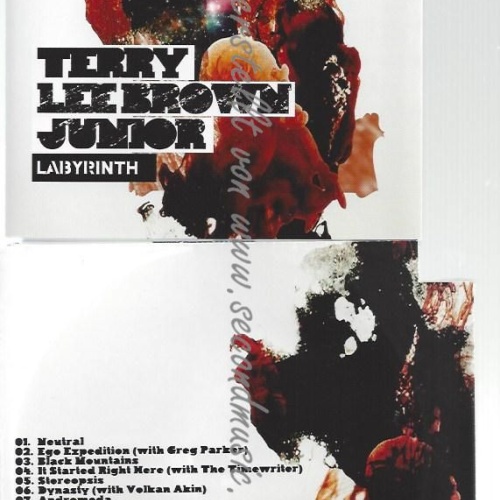 CD--TERRY LEE BROWN JUNIOR--    LABYRINTH