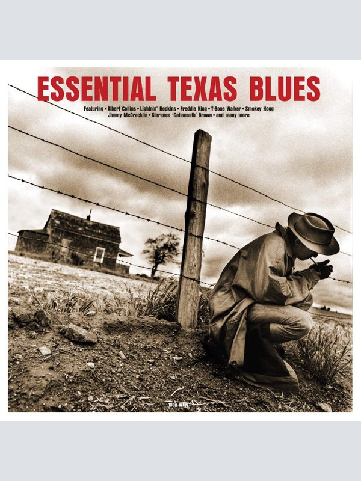 LP, Comp, 180 Various - Essential Texas Blues