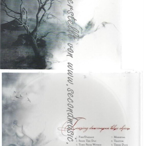 CD--DIECAST--    TEARING DOWN YOUR BLUE SKIES -REISSUE-