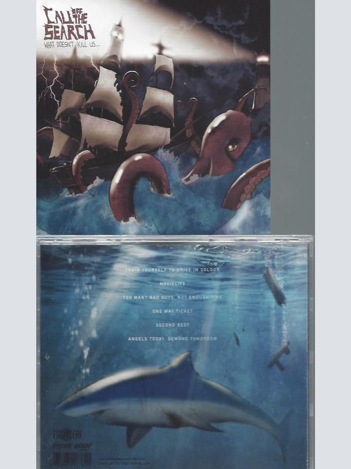 CD-CALL THE SEARCH WHAT DOES'NT KILL US