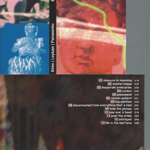 CD--BEWITCHED REVELATIONS / BIRKE LEYKAM / PANASENKO