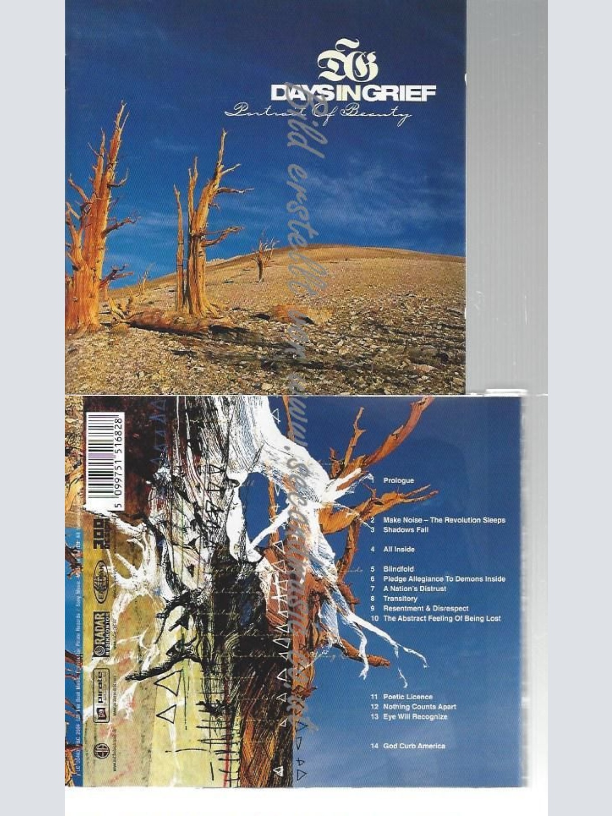 CD--DAYS IN GRIEF--    PORTRAIT OF BEAUTY