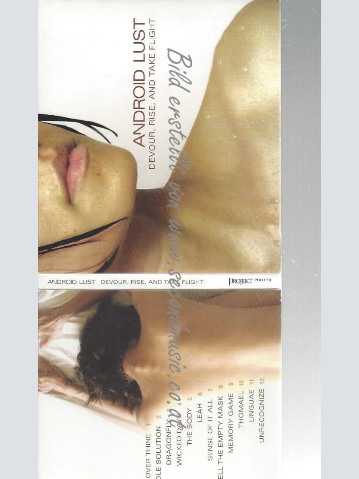 CD--ANDROID LUST--    DEVOUR, RISE AND TAKE FLIGHT [EXPLICIT]