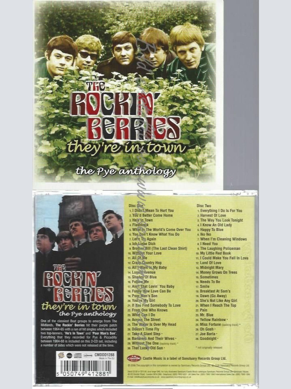 CD--ROCKIN BERRIES | --THEY'RE IN TOWN (ANTHOLOGY)