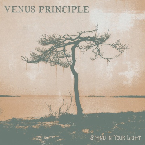 CD, Album, Dig Venus Principle - Stand In Your Light