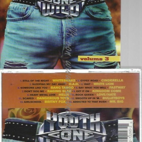 CD--HEAVY METAL HITS OF THE 80'S: YOUTH GONE WILD   V3