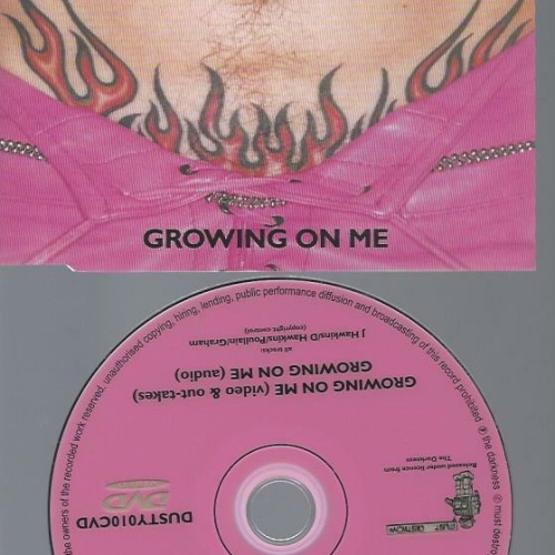 --The Darkness  Growing On Me // DVD Single