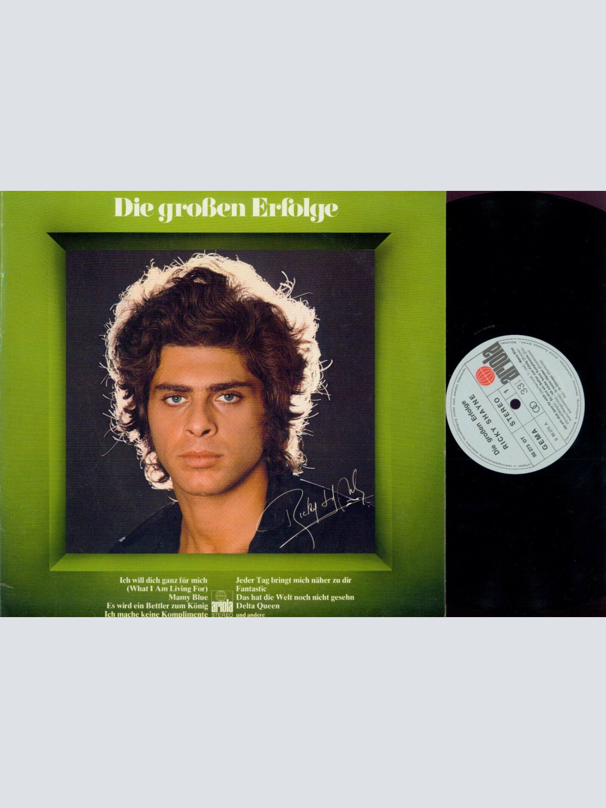 LP--  Ricky Shayne  Die Großen Erfolge