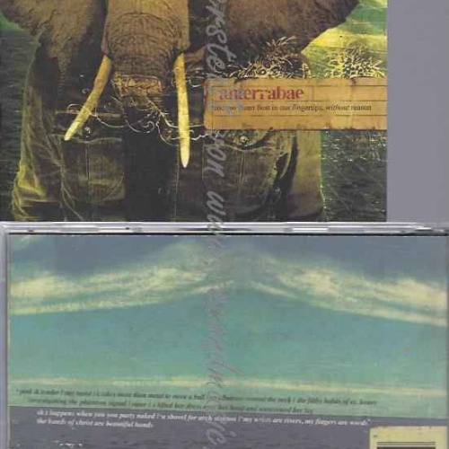 CD--ANTERRABAE | --AND OUR HEART BEAT IN OUR FING