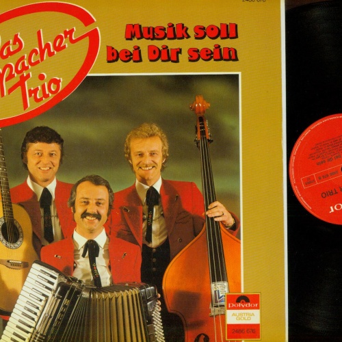 LP--Das Hippacher Trio – Musik Soll Bei Dir Sein