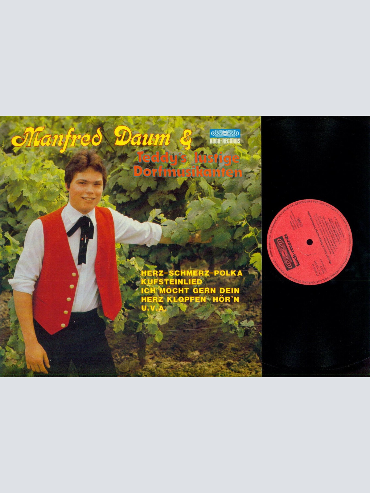 LP-- Manfred Daum & Teddy's lustige Dorfmusikanten   // NM