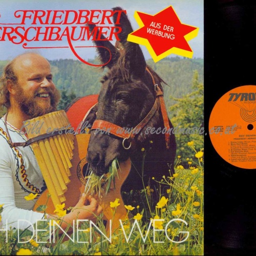 LP--Friedbert Kerschbaumer – Geh Deinen Weg /  NM
