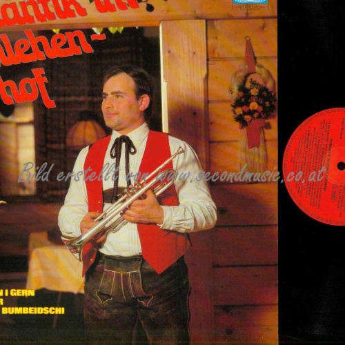 LP--Romantik im Krahlehenhof-- Filzmooser Buam -Kirchgasser   //  NM