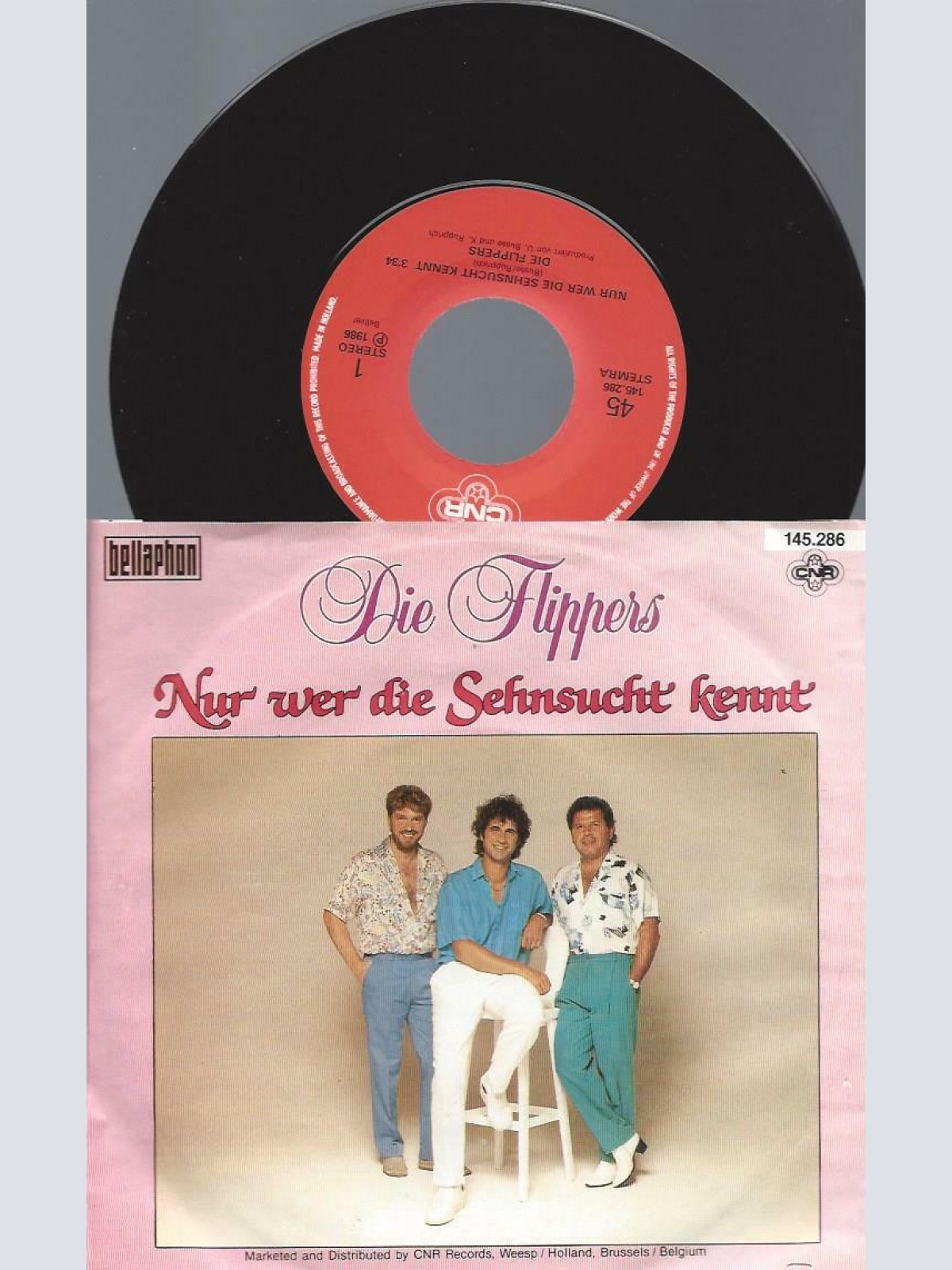 7" Die Flippers – Nur Wer Die Sehnsucht Kennt