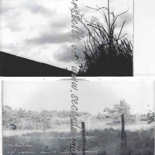 CD--Lawrence  --The Absence of Blight