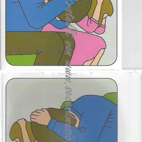 CD--Ensemble  --Sketch Proposals