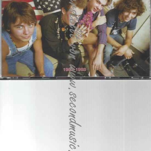 CD--The Flaming Lips  --Finally the Punk Rockers Are Taking Acid