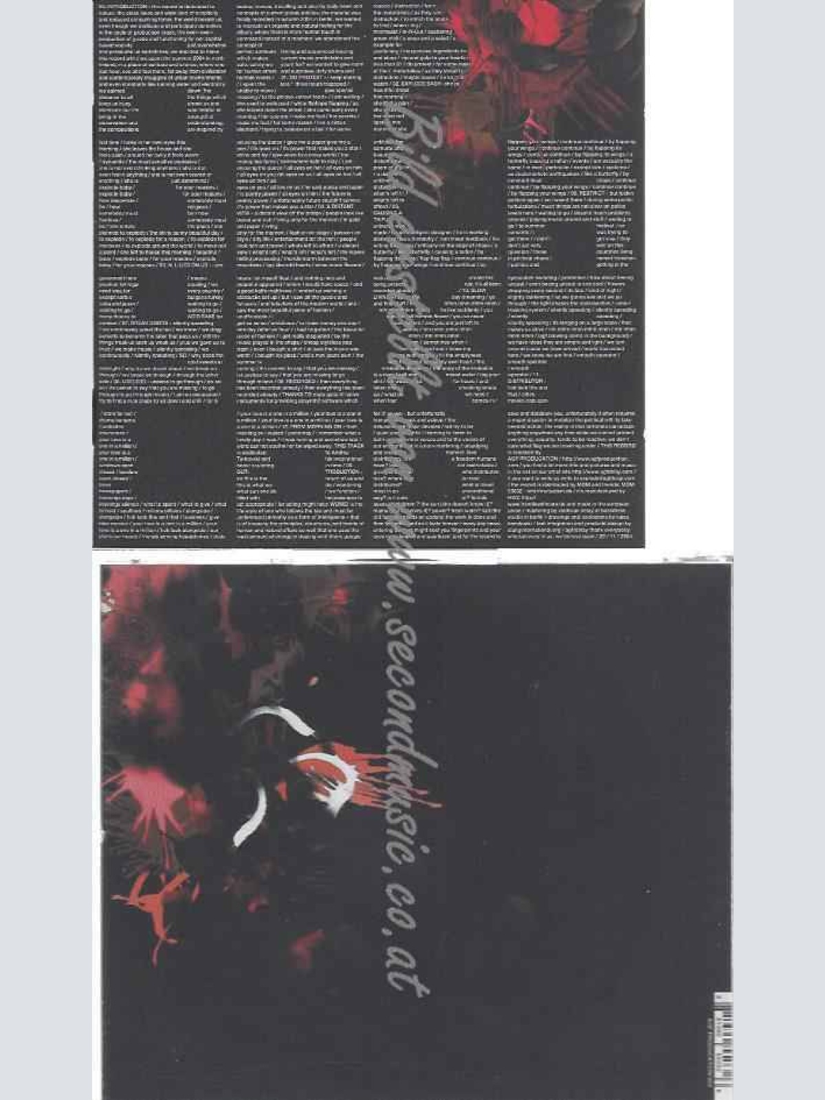 CD--Antye Greie-Fuchs  --Explode