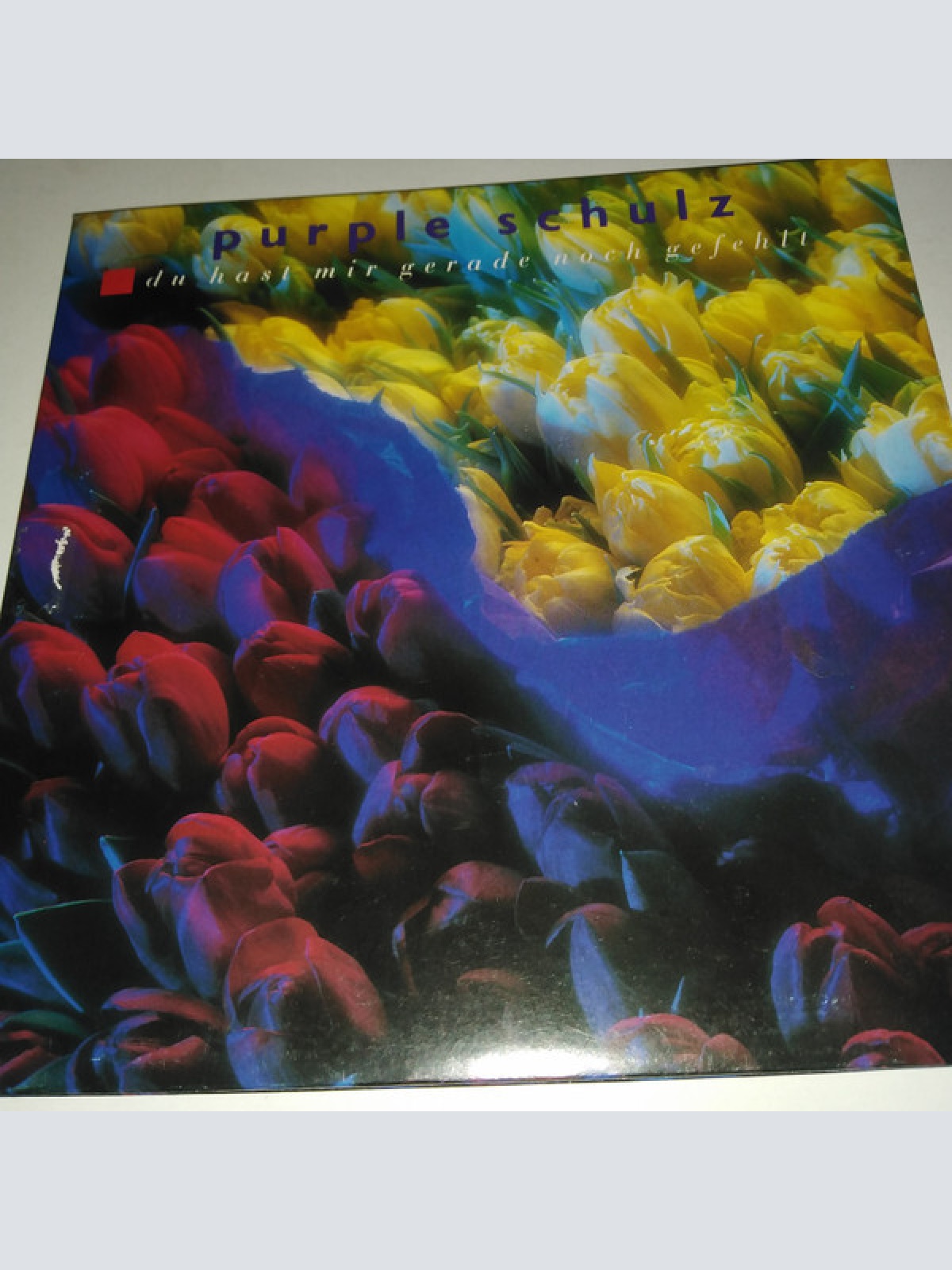 7", Single, Promo, Gat Purple Schulz - Du Hast Mir Gerade Noch Gefehlt