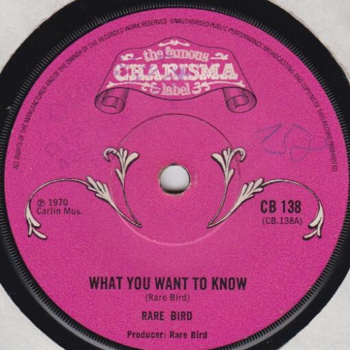 7", Single Rare Bird - What You Want To Know