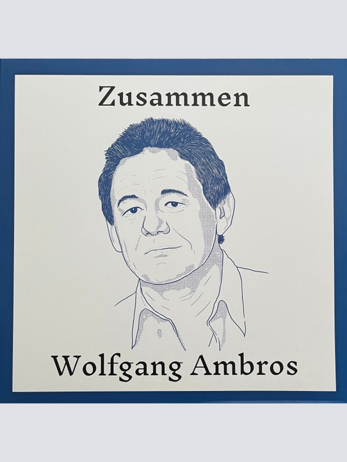 LP, Comp, Ltd, Num, Gol Wolfgang Ambros - Zusammen