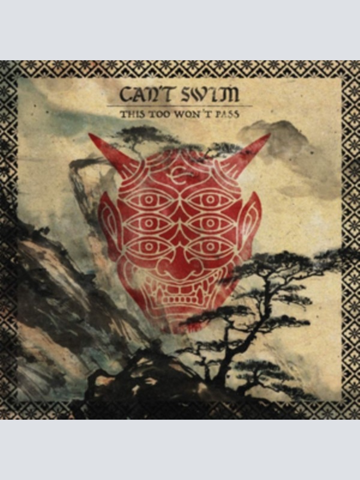 CD, Album Can't Swim - This Too Won’t Pass