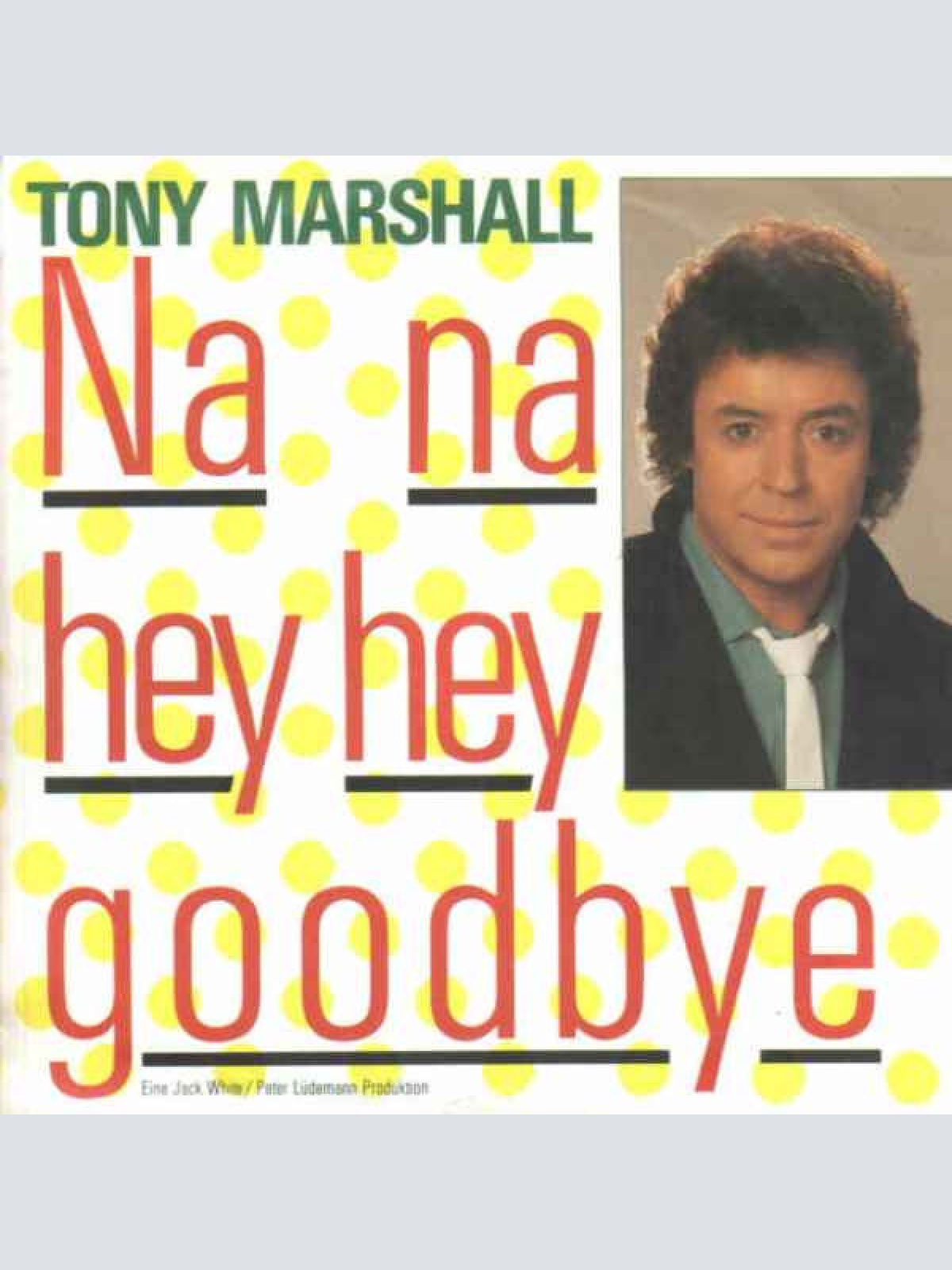7", Single Tony Marshall - Na Na Hey Hey Goodbye