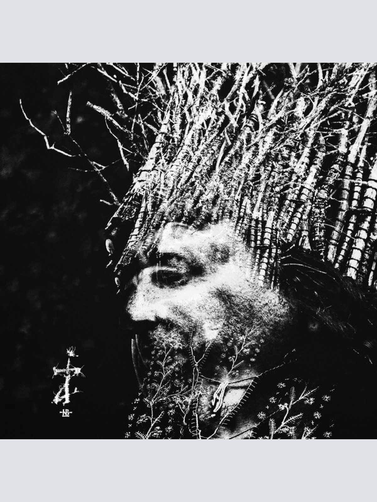 CD, Album Negură Bunget - ZI