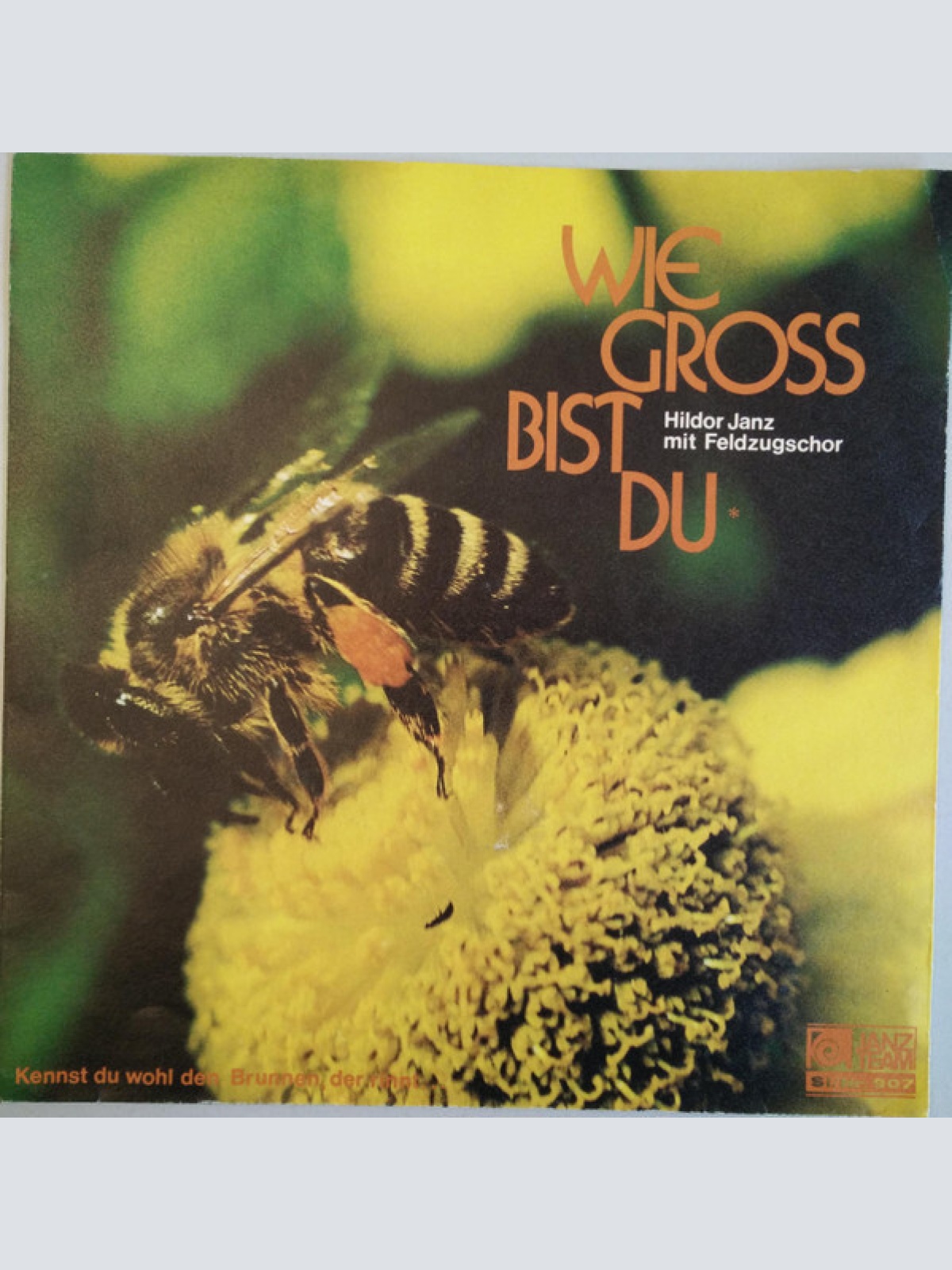 7" Hildor Janz Mit Feldzugschor - Wie Gross Bist Du