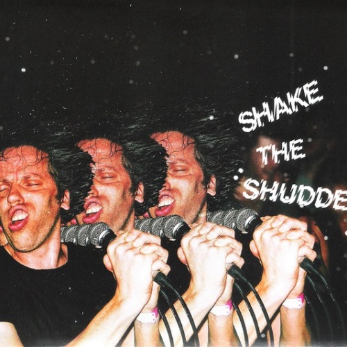 CD, Album !!! - Shake The Shudder