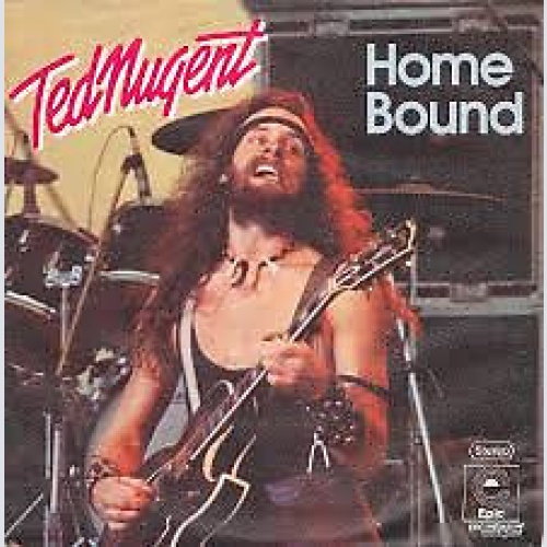 7", Single, Promo Ted Nugent - Home Bound