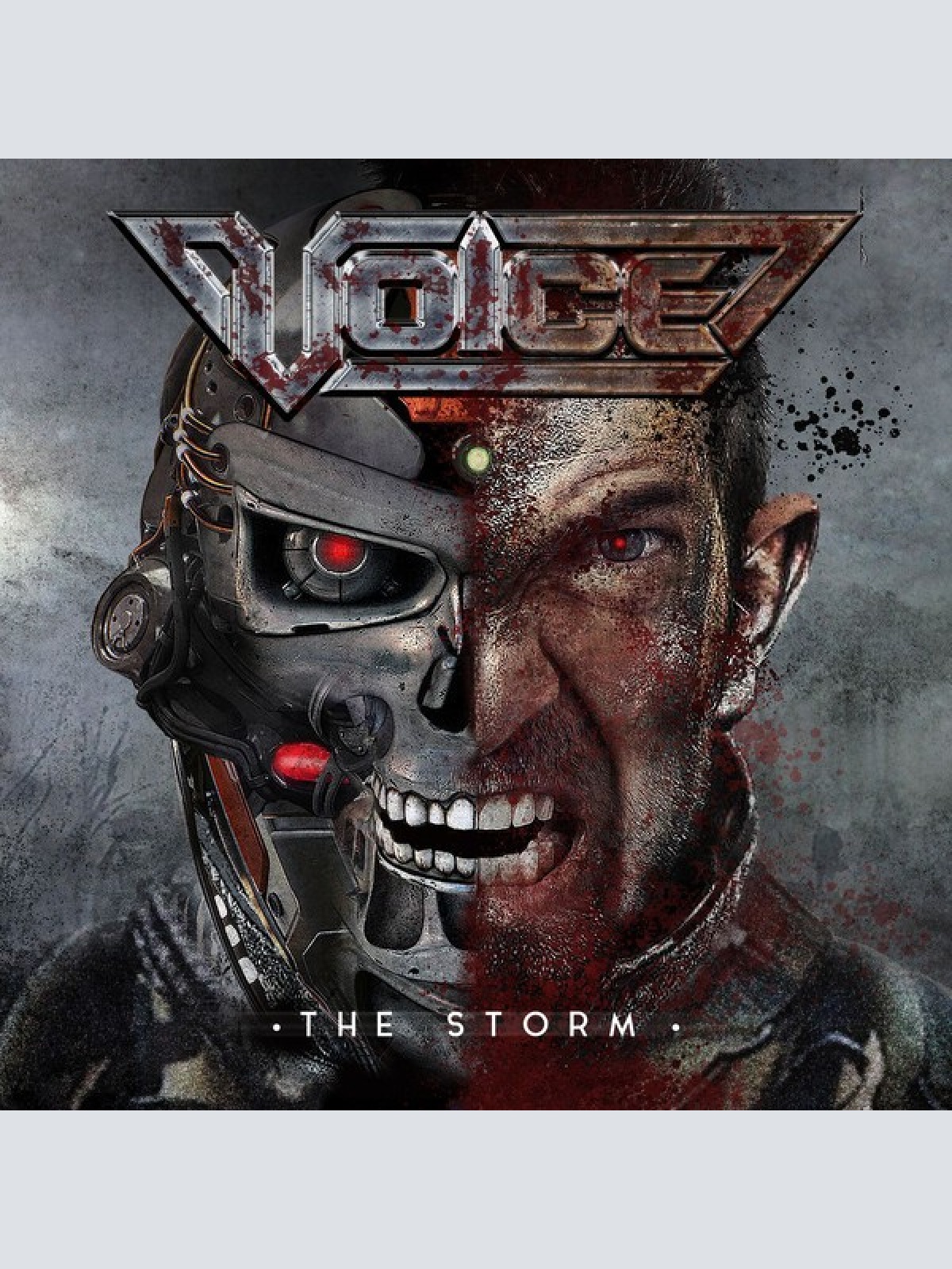 CD, Album Voice (5) - The Storm
