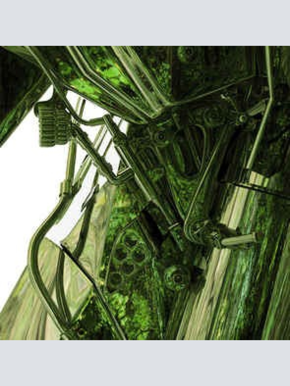 CD, EP Wife (4) - Standard Nature