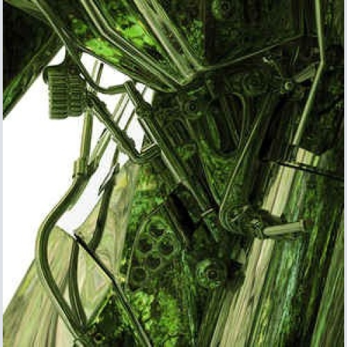 CD, EP Wife (4) - Standard Nature