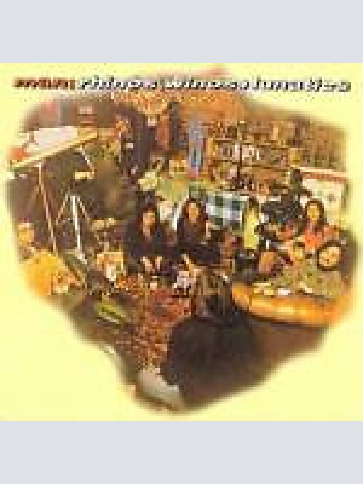 LP, Album, Gat Man - Rhinos, Winos, And Lunatics