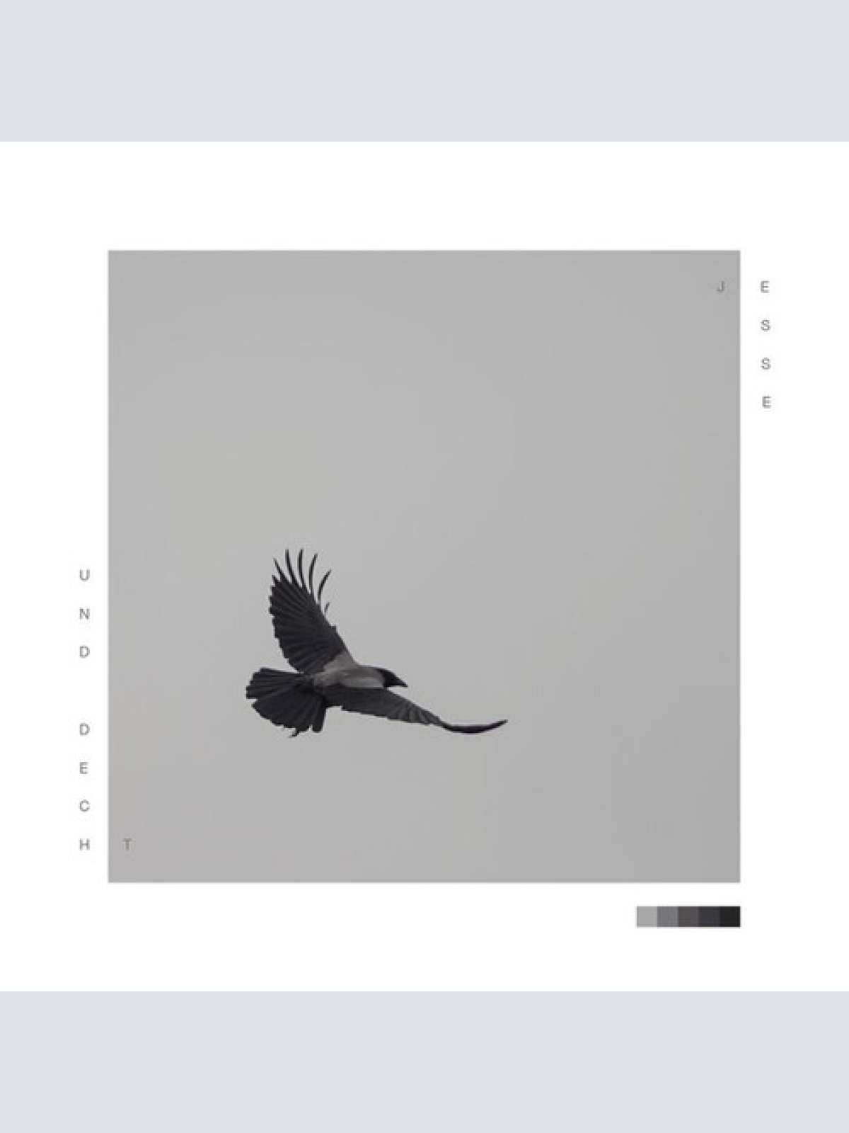 CD, Album Jesse Grande - und decht