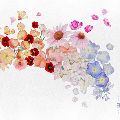 CD, Album Gretchen Parlato - Flor